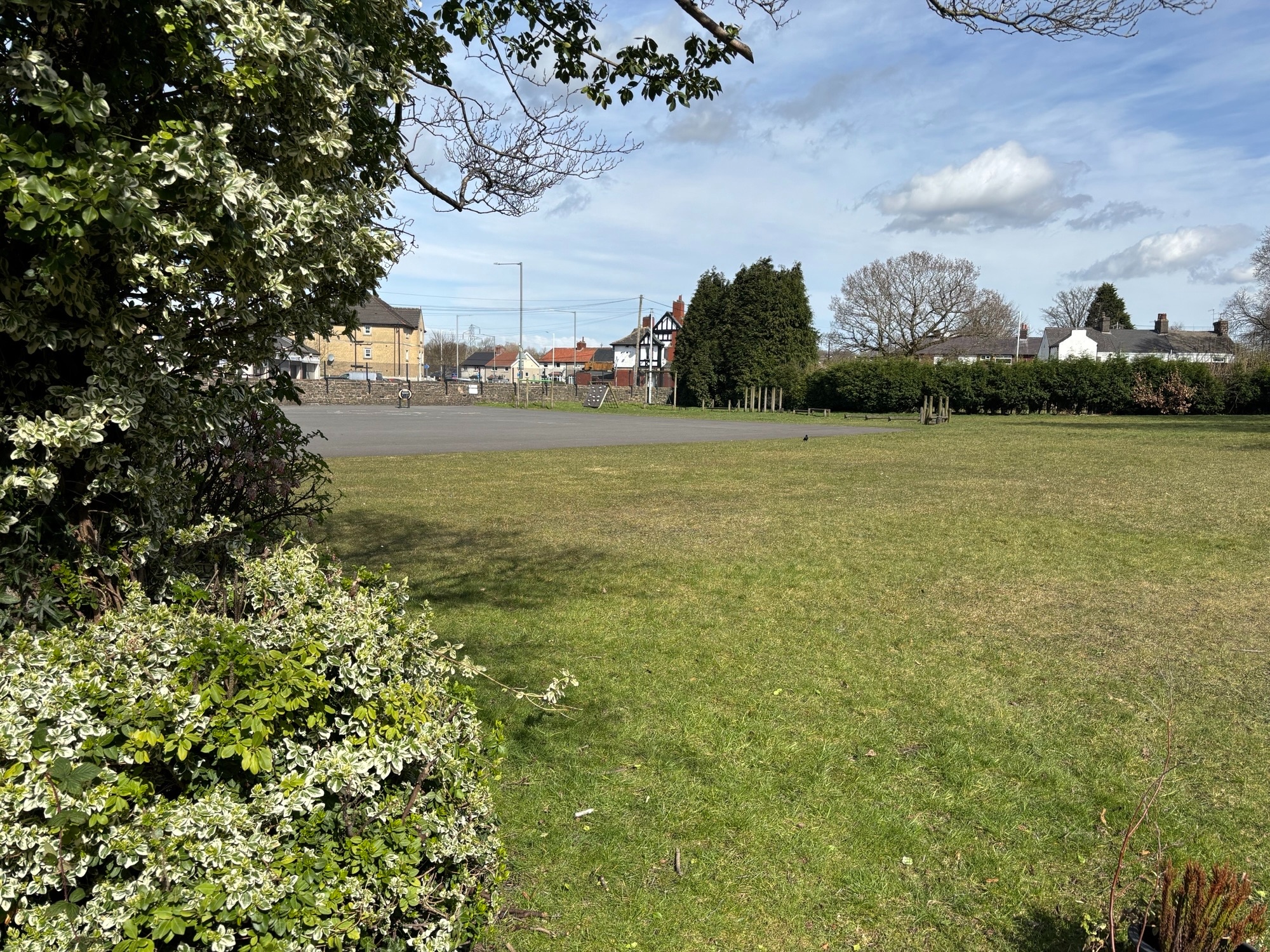 IMG_7781.jpeg